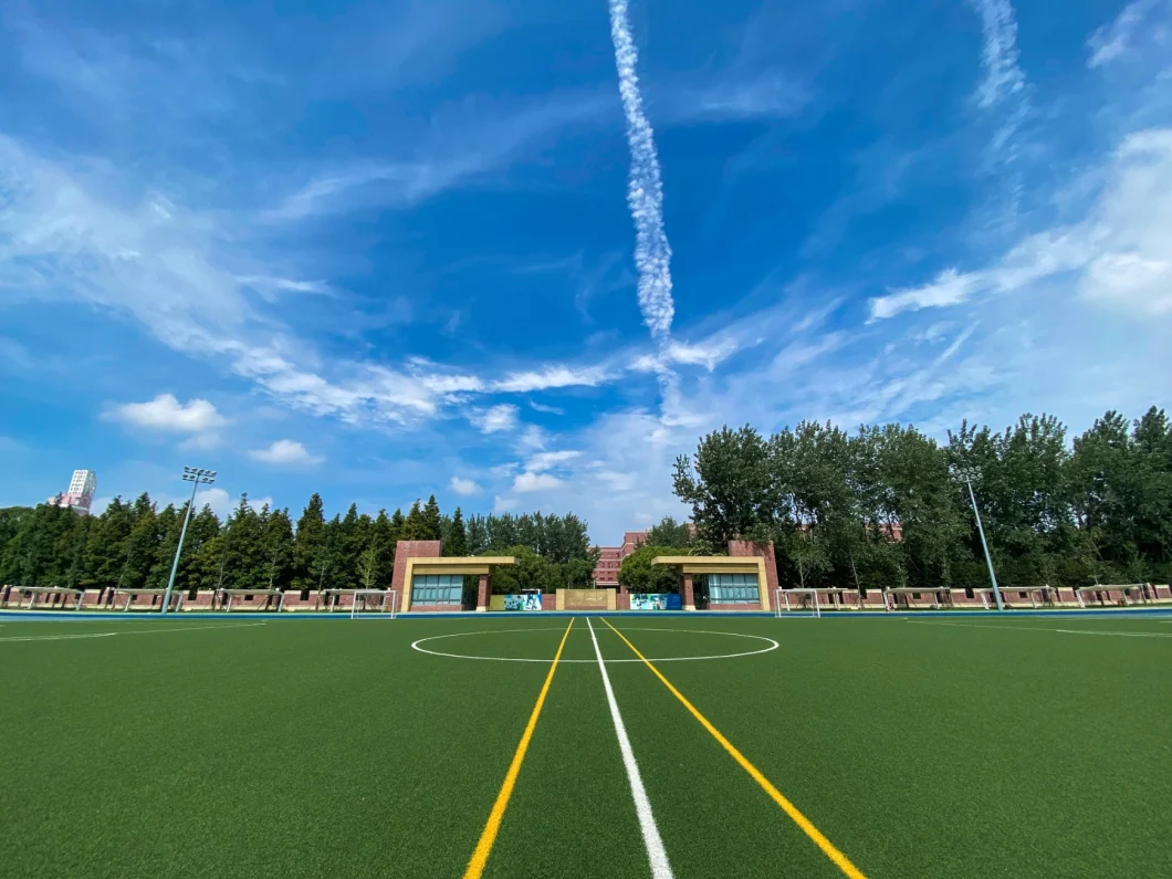Factory Looking Natural Strong Yarn Monofilament UV-Resistance Grass Decoration Comfortable Pet Football Artificial Grass