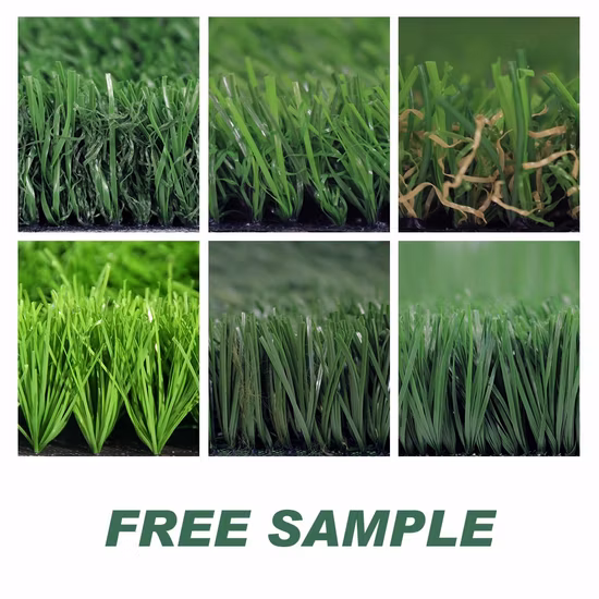 Flat Shape 10mm Tennis Sport Artificial Grass with SGS