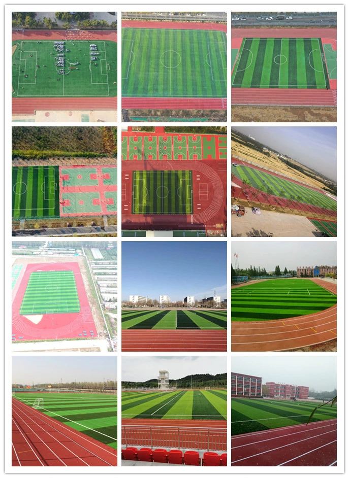 Safe Natural Looking Cheap Price Multi Color 20mm Running Track Fake Lawn Artificial Grass Synthetic Turf for Junior Senior High School Made in China