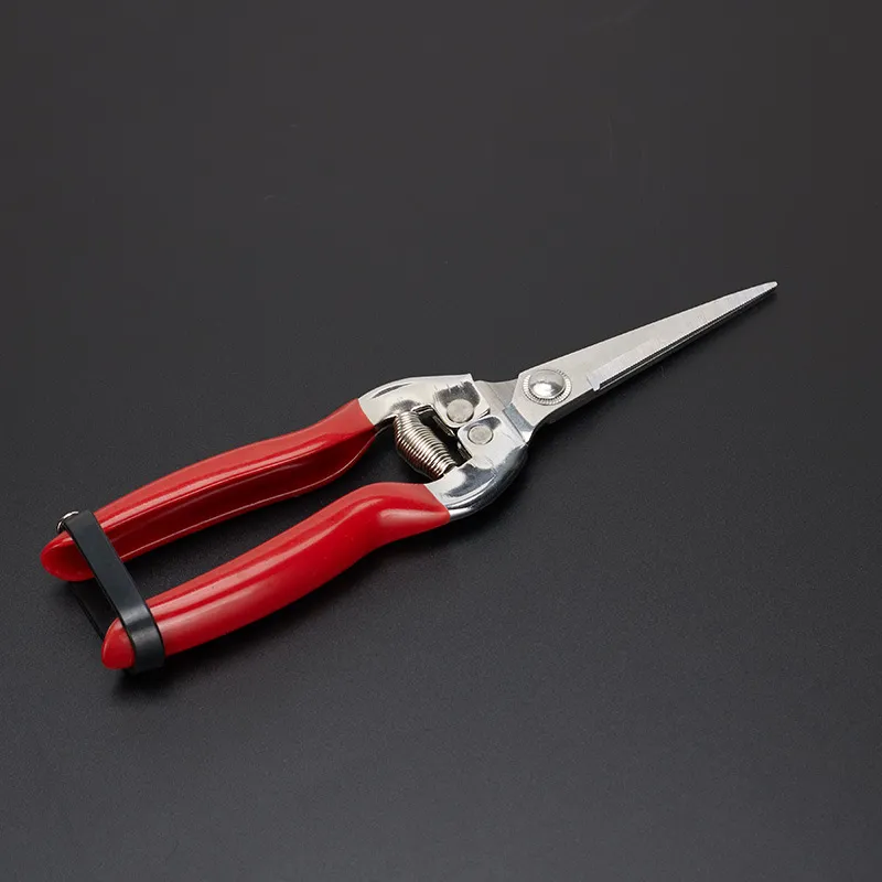 Wholesale 8inch Hot Selling 2colors Available Garden Scissors Pruner with Curved Blade